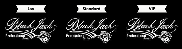 Blackjack Professional Series lar deg spille profesjonell blackjack på spilleautomater