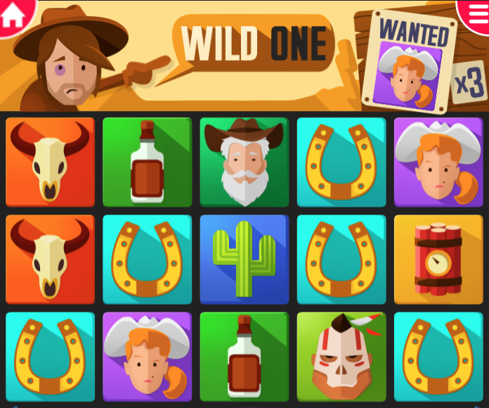 Spill bingo minispill Wild One